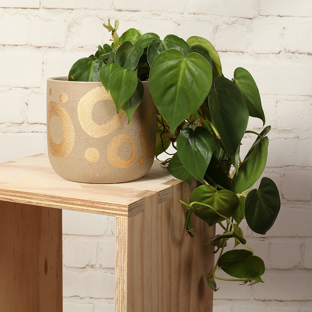 Gold Spot Ceramic Pot