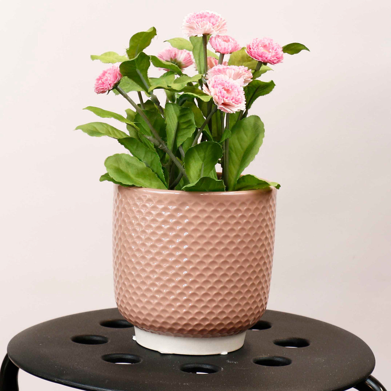 Pretty Shells Ceramic Planters