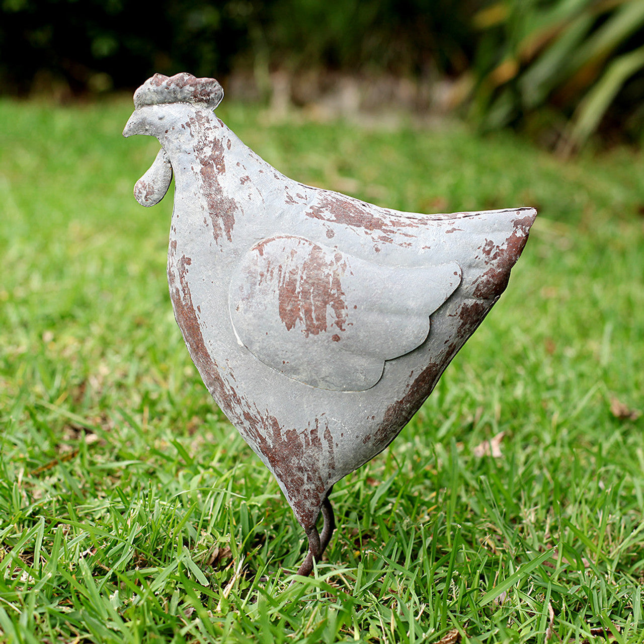 Rustic Hen Large Garden Decor