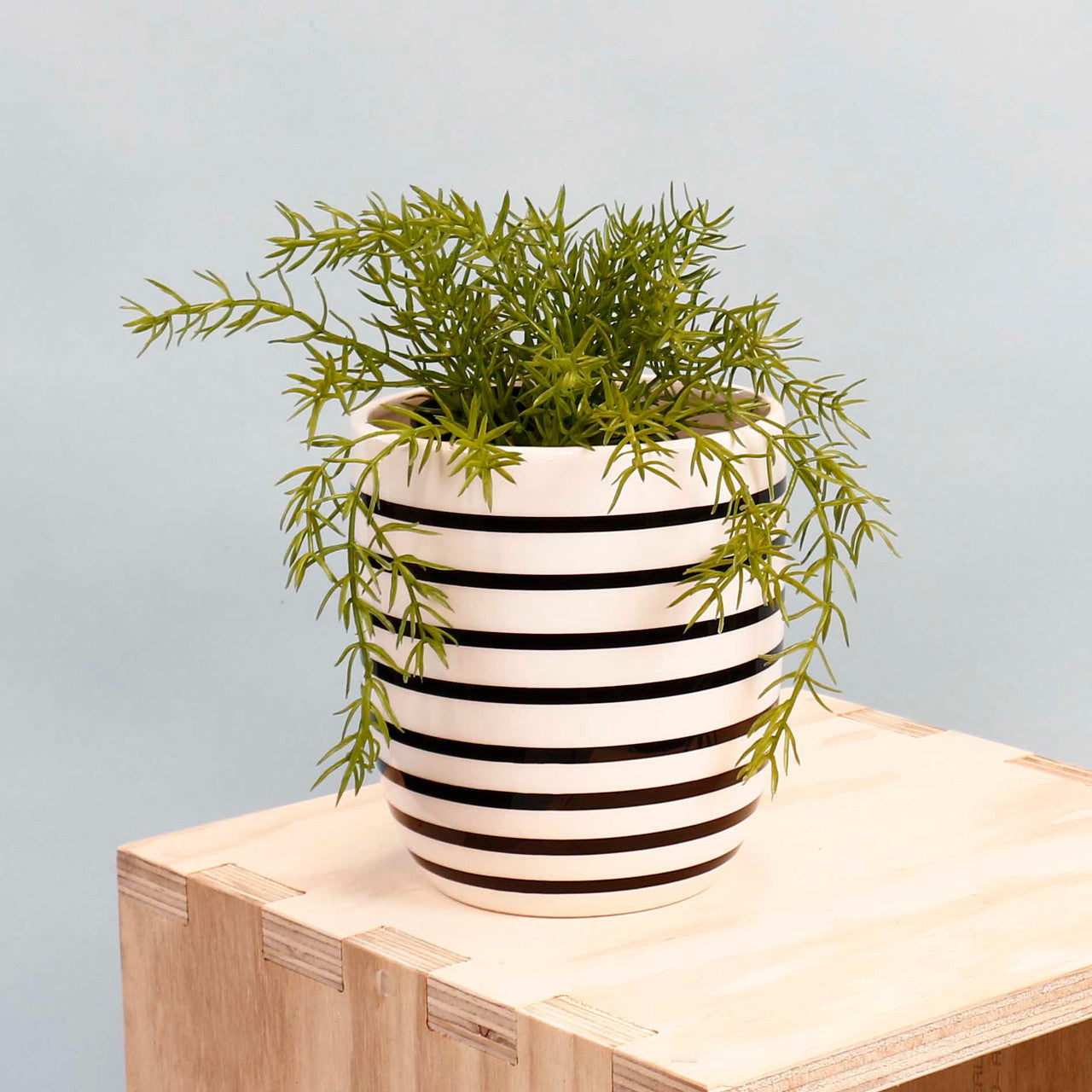 White Banded Pot