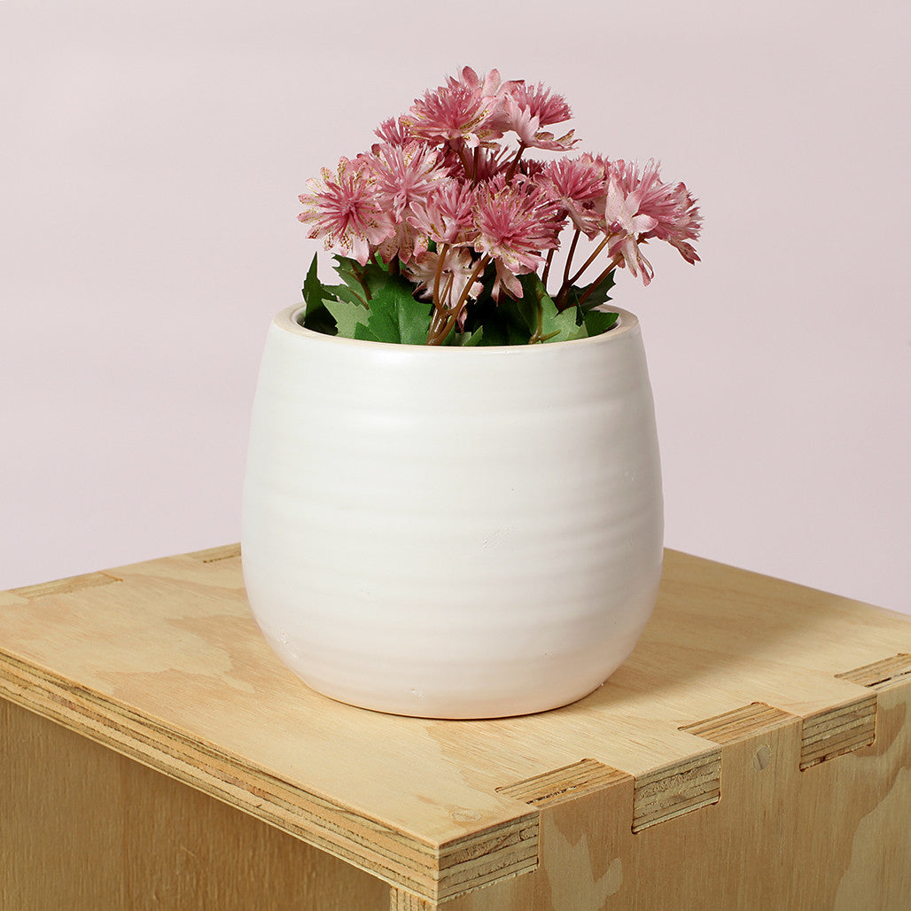 White Egg Ceramic Pot
