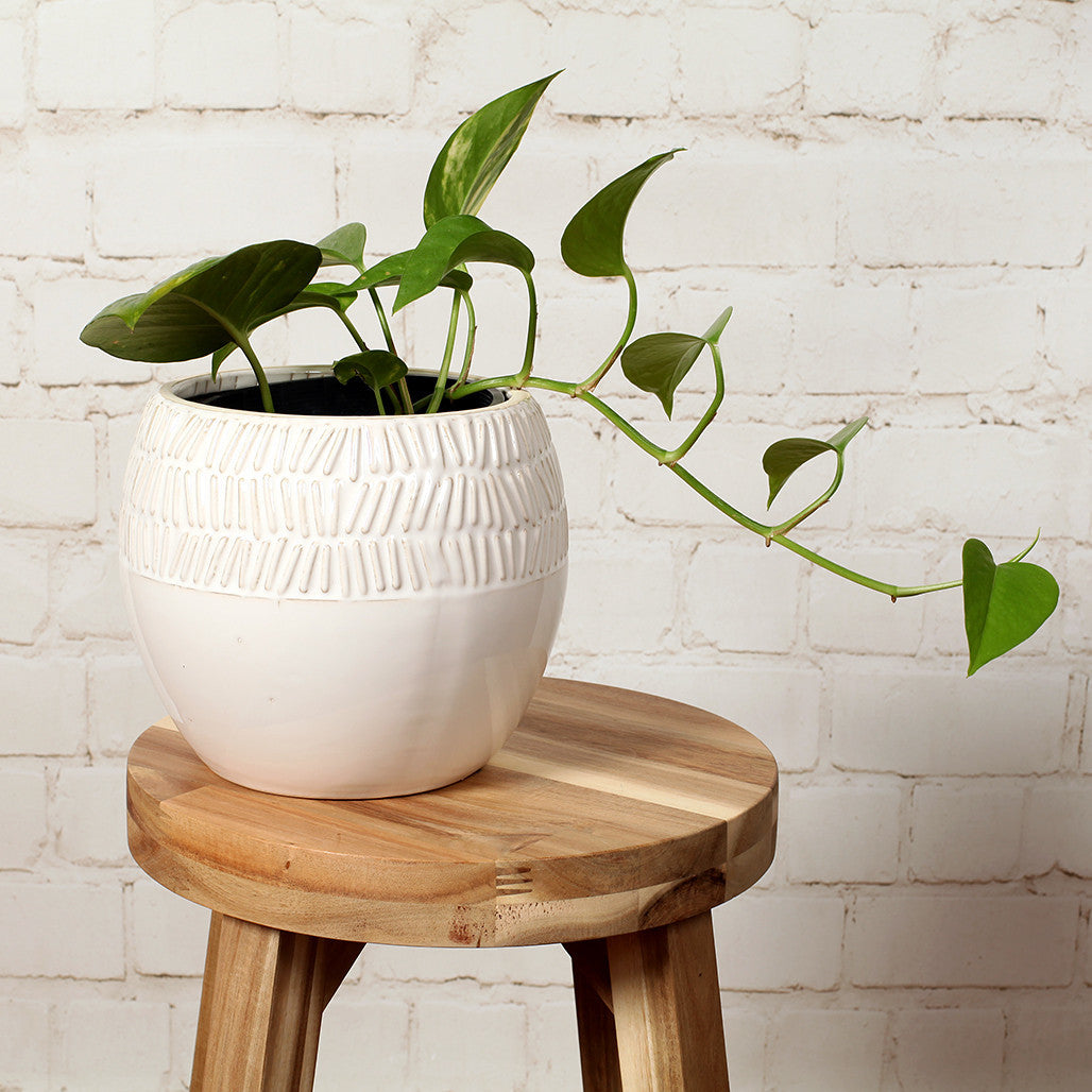 White Tribal Ceramic Pot