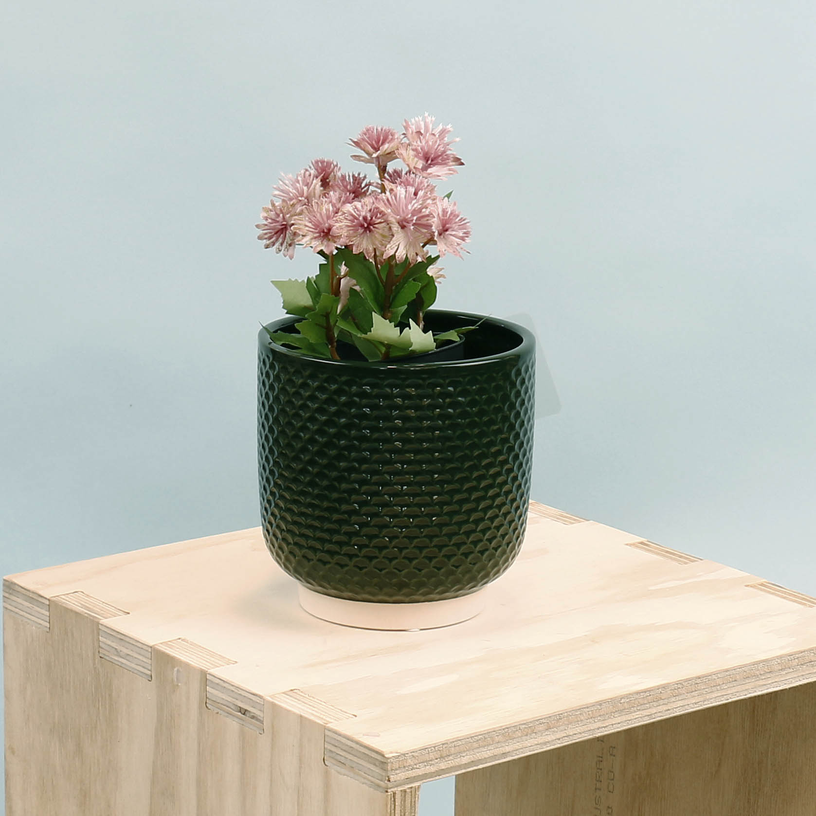 Pretty Shells Ceramic Planters