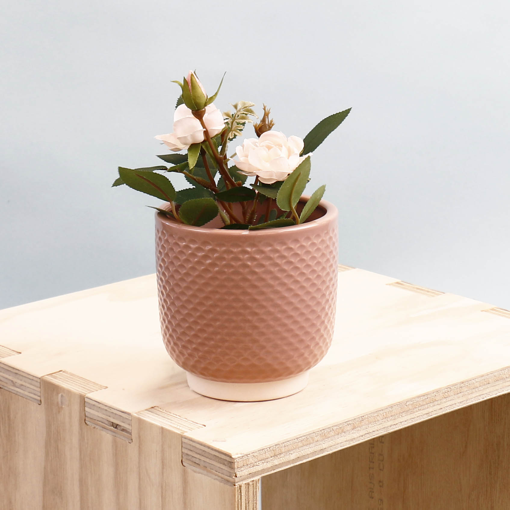Pretty Shells Ceramic Planters