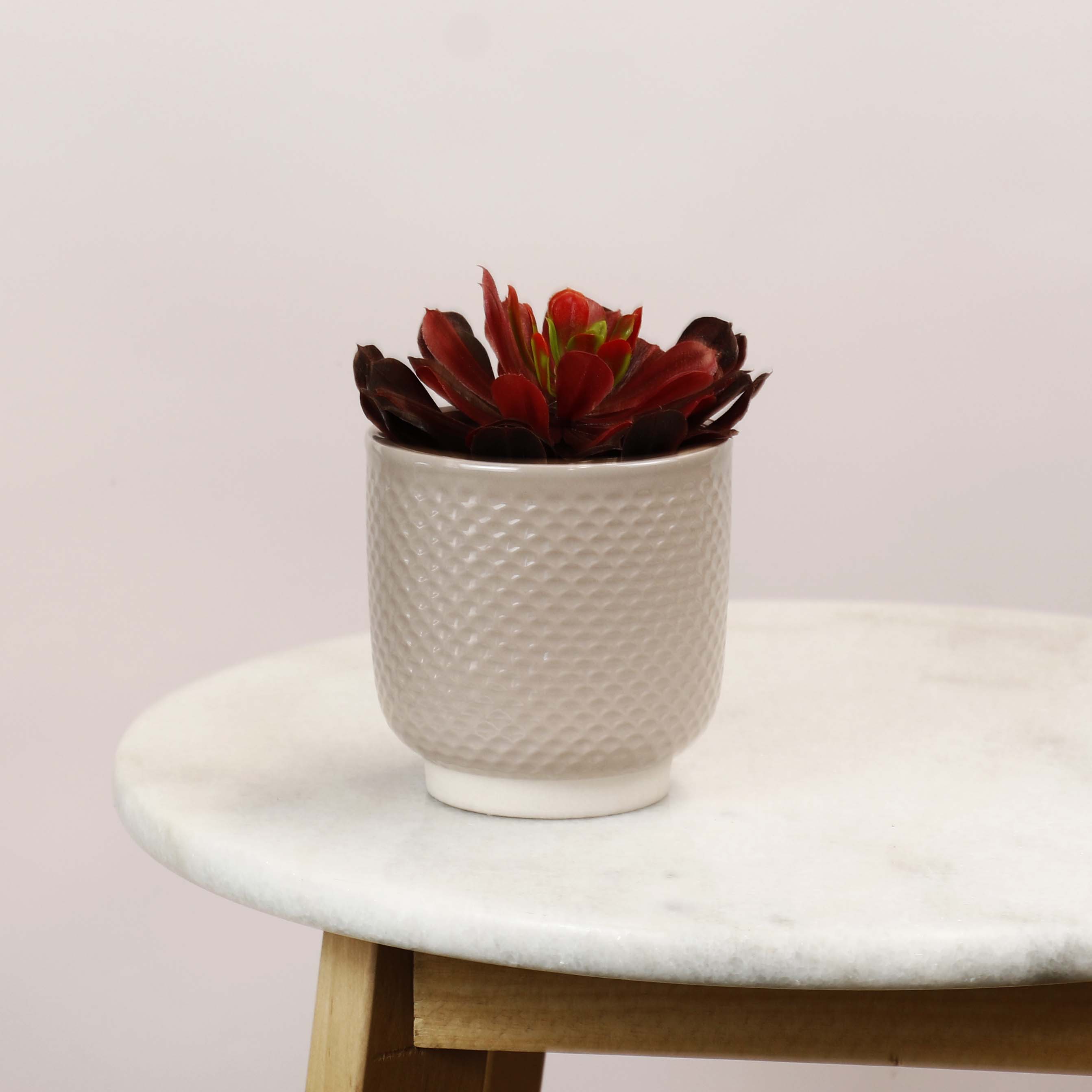 Pretty Shells Ceramic Planters
