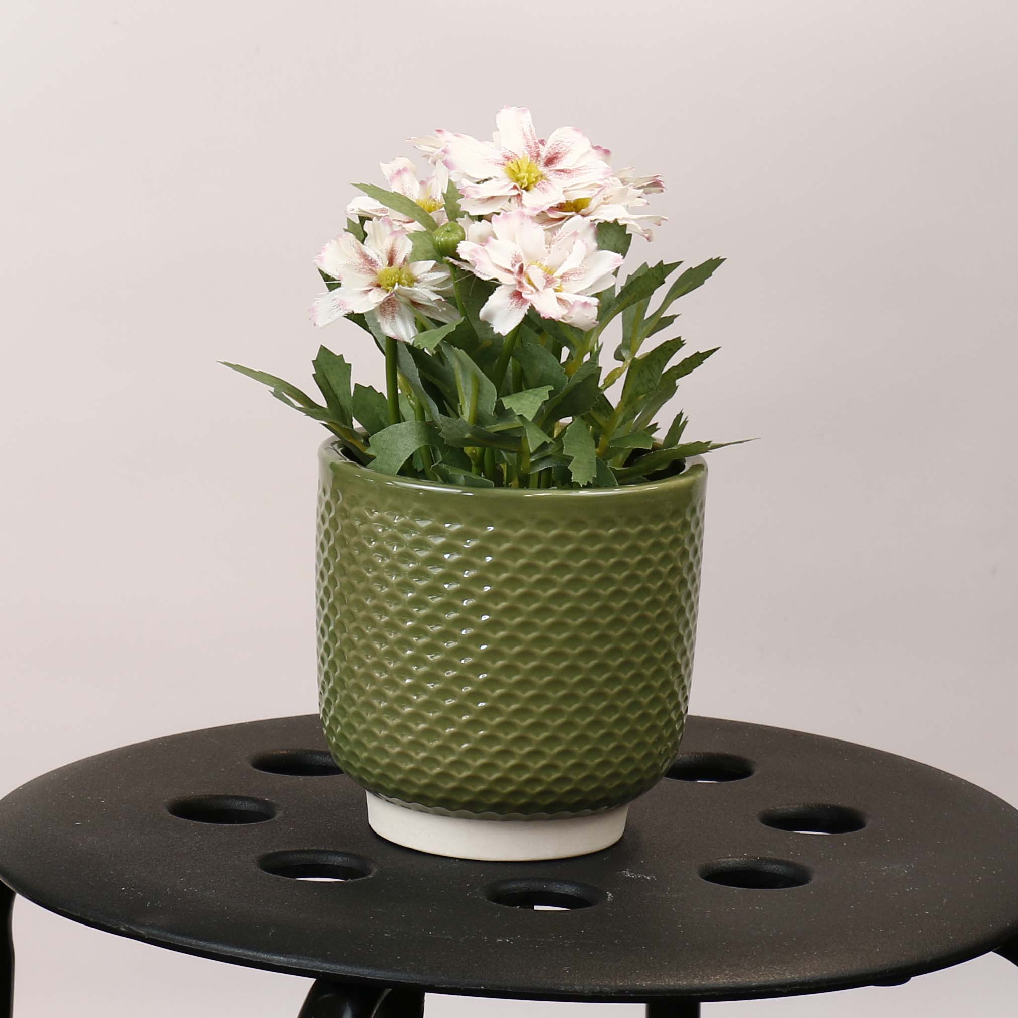 Pretty Shells Ceramic Planters