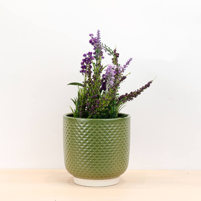Pretty Shells Ceramic Planters
