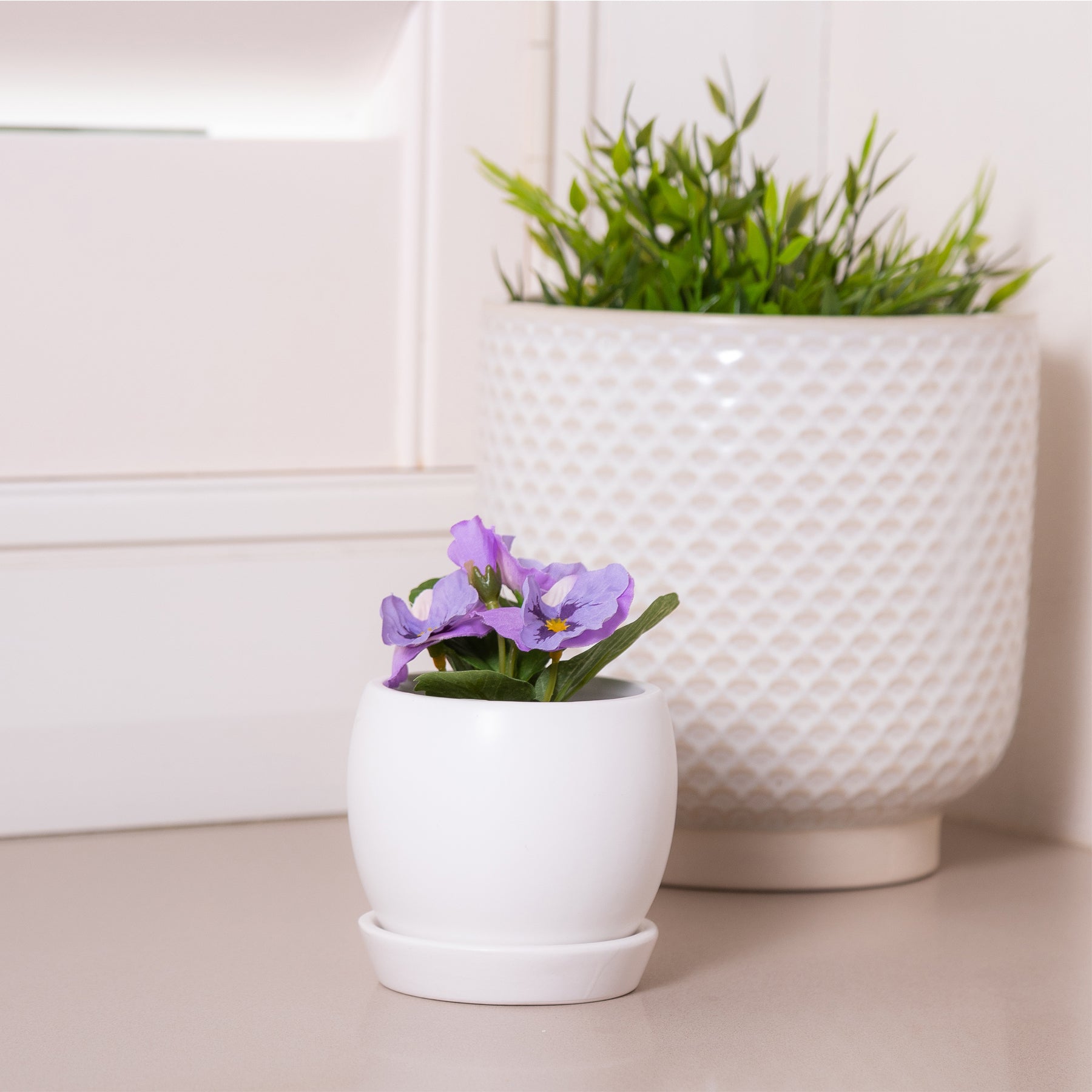 Egg Ceramic Planter