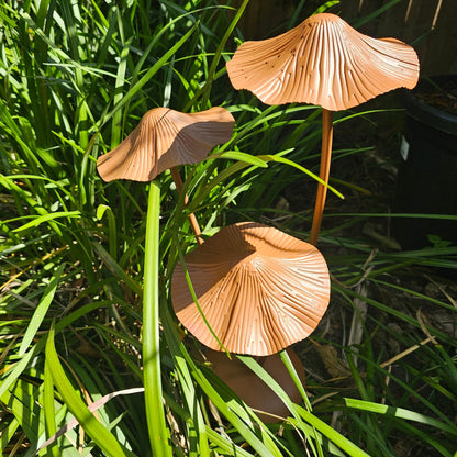 Mushroom Stand Rustic Garden Decor