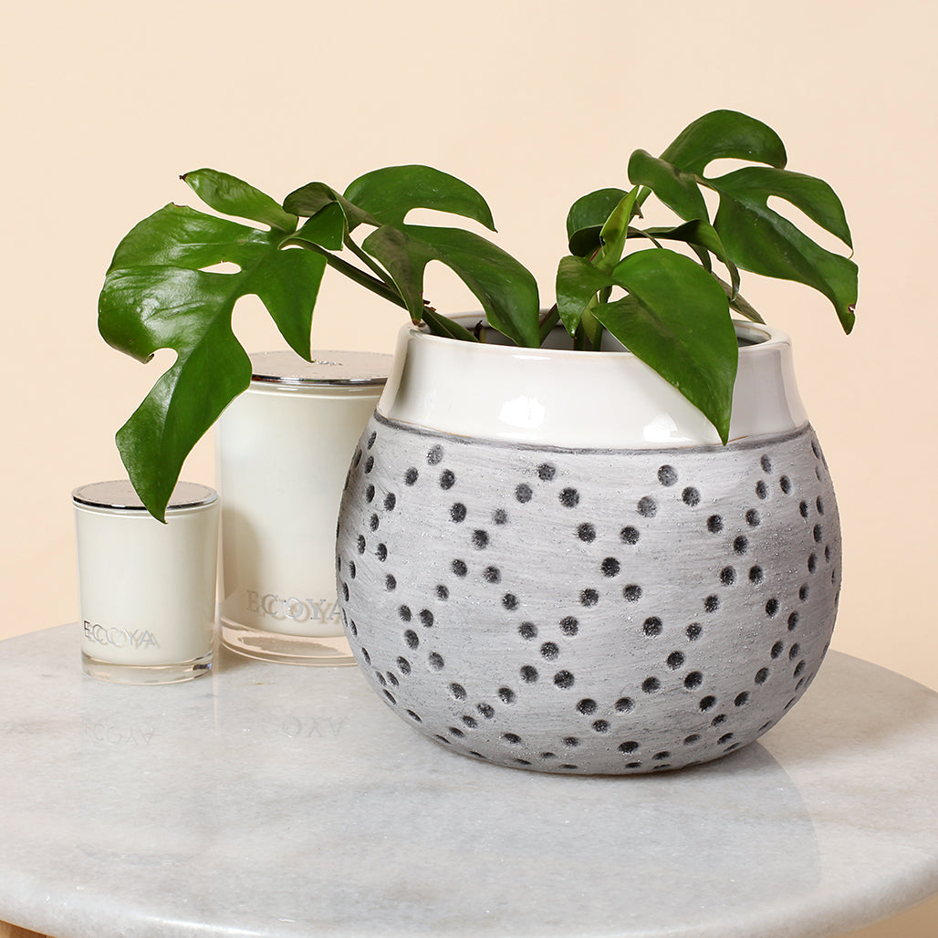 Natural Dot Ceramics Pot