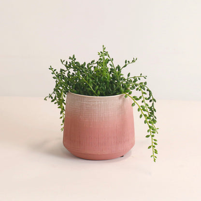 Horizon Blush Ceramic Pot