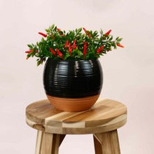 Handcrafted Ceramic Black and Terracotta Ridged Planter