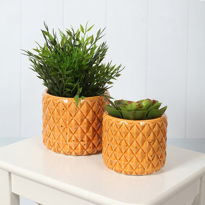 Pineapple Ceramic Pot