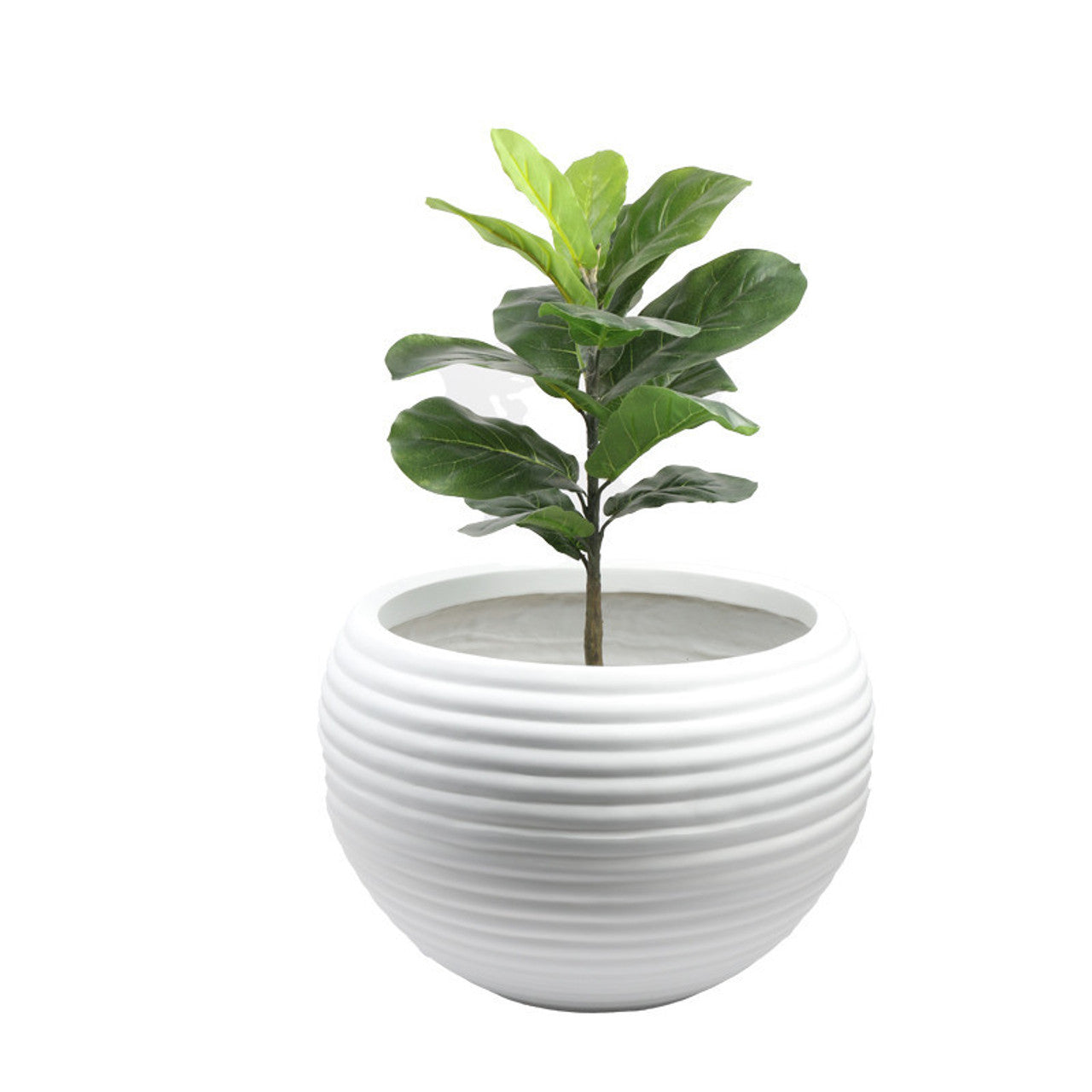 White Striped Ceramic Pot
