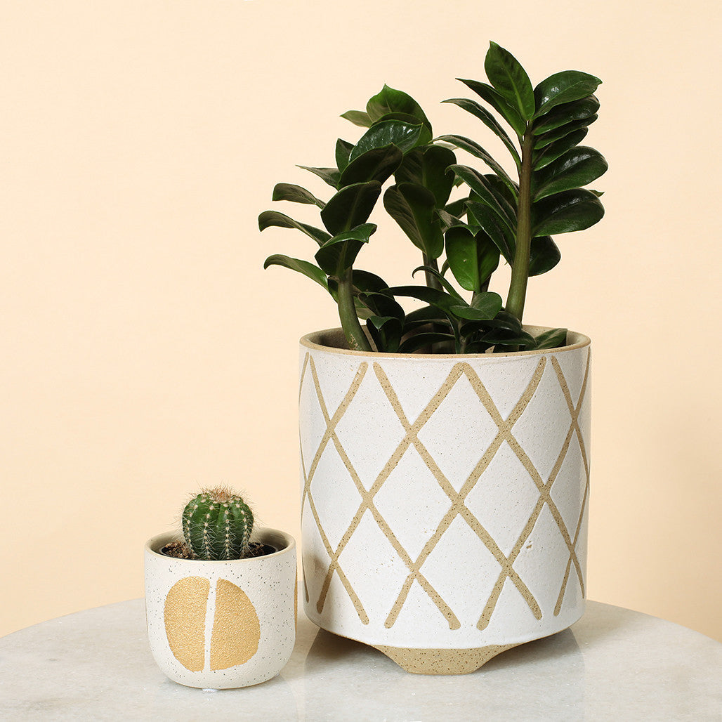 Tic Tac Toe Ceramic Pot