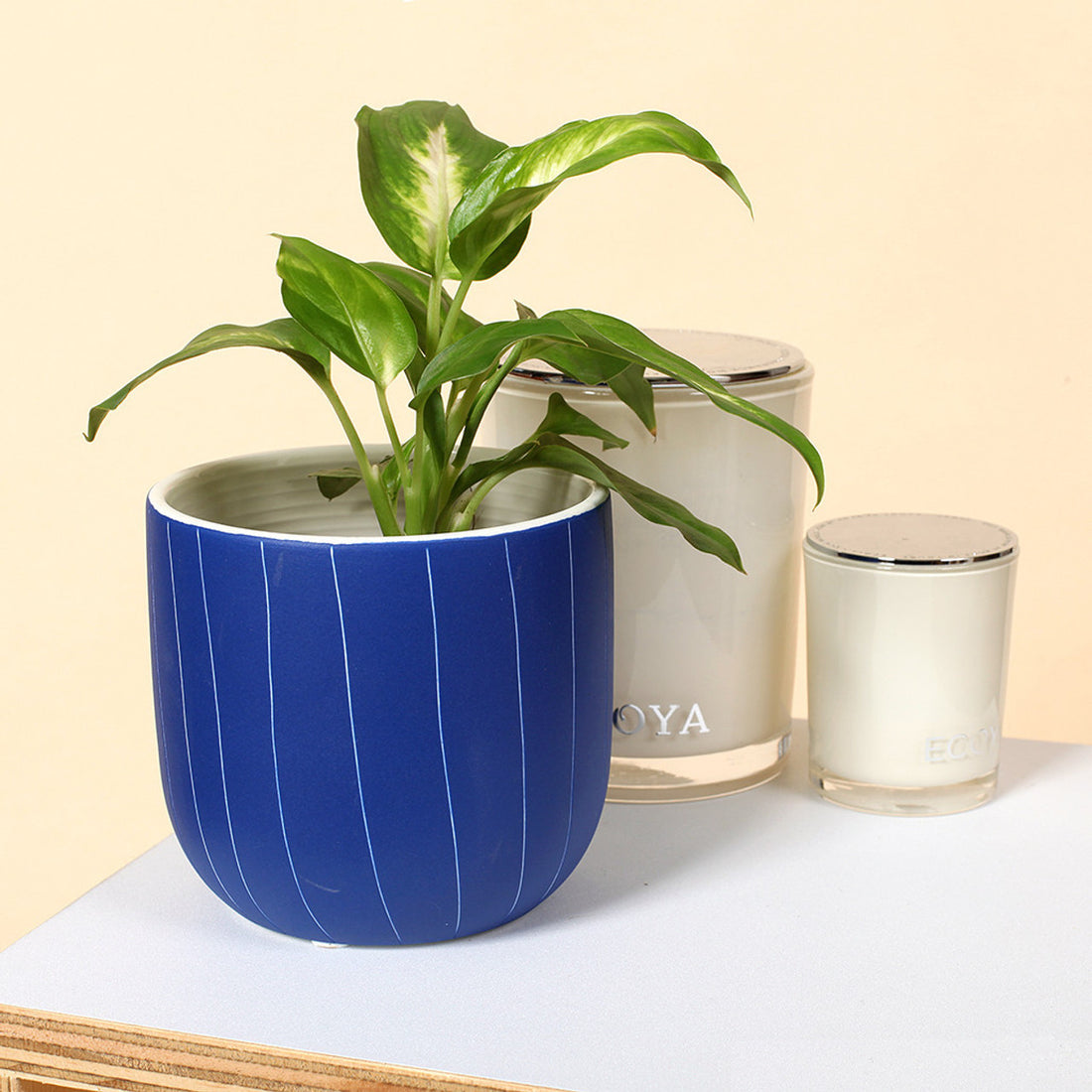Blue Striped Ceramic Pot