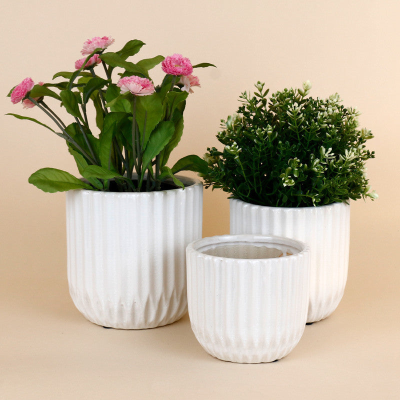 White Ribbed Ceramic Pot