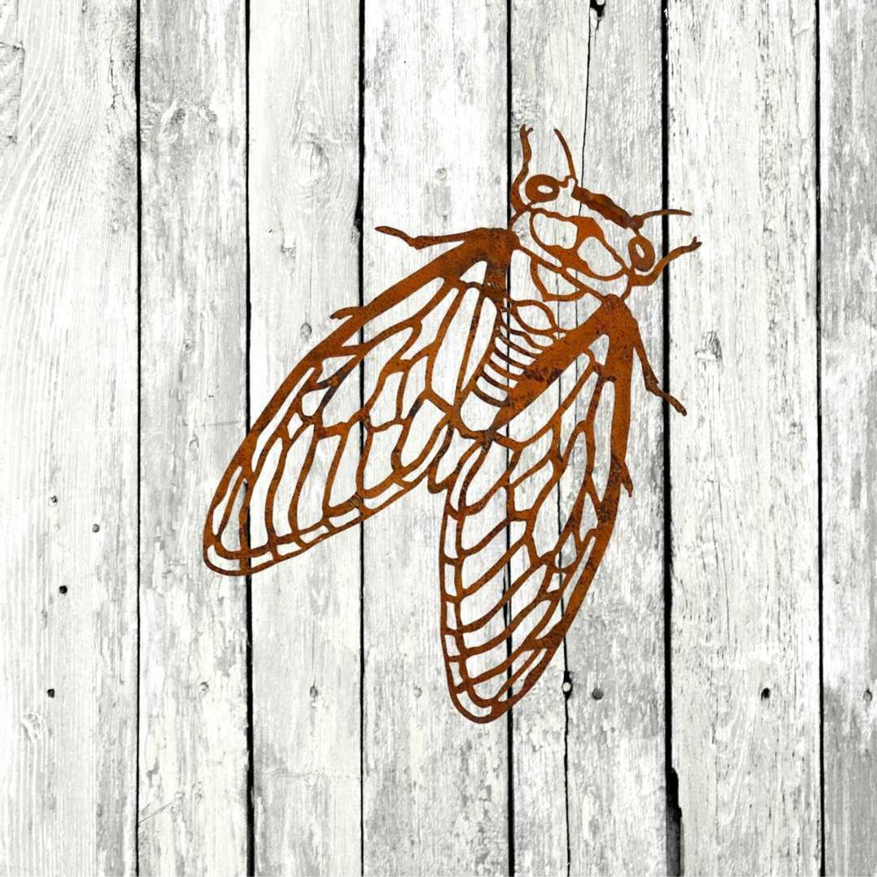 Cicada Wall Art