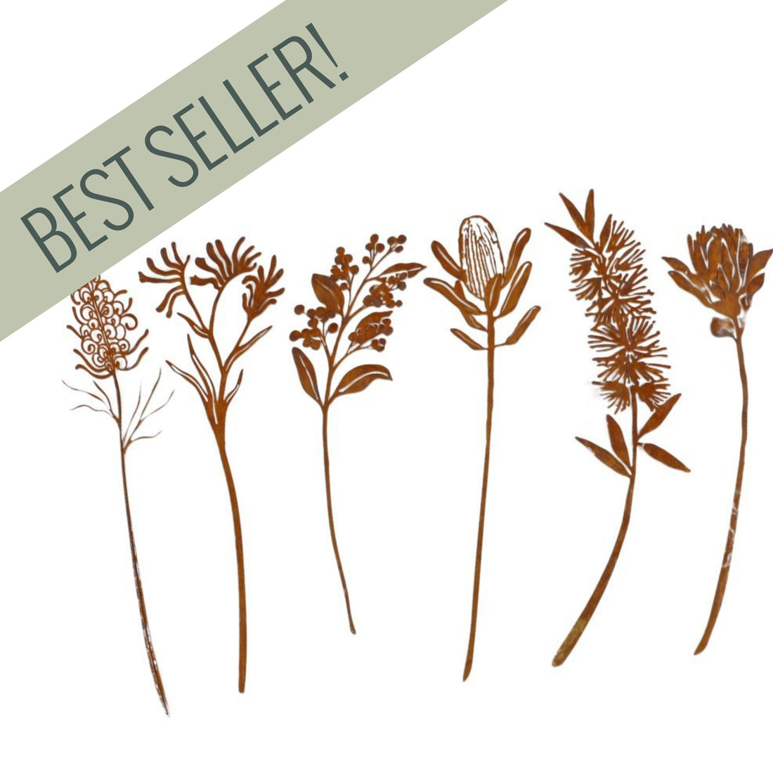 Australian Flower Decorative Garden Stakes Set of 6