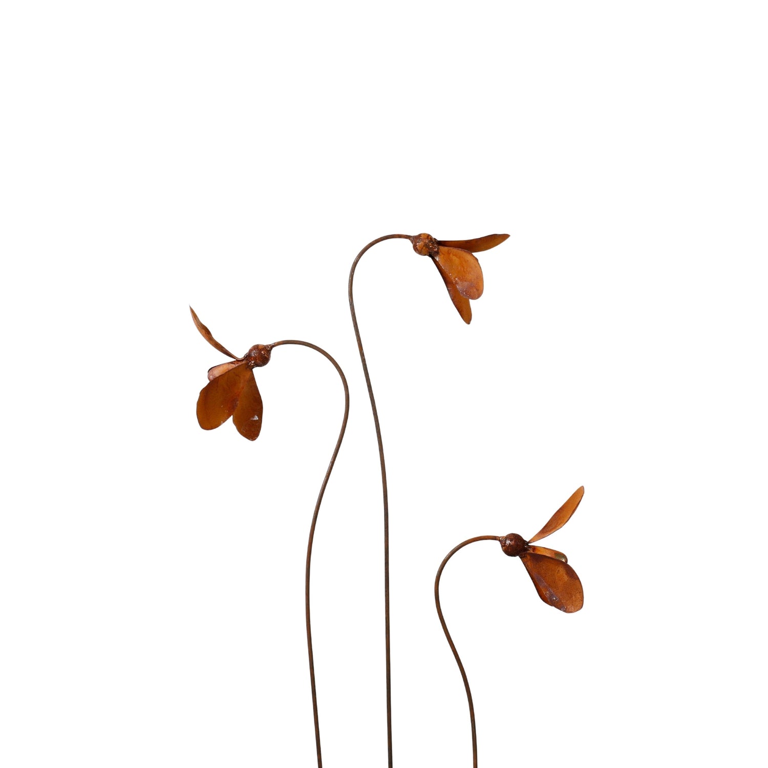 Daydream Blooms Rustic Garden Stake