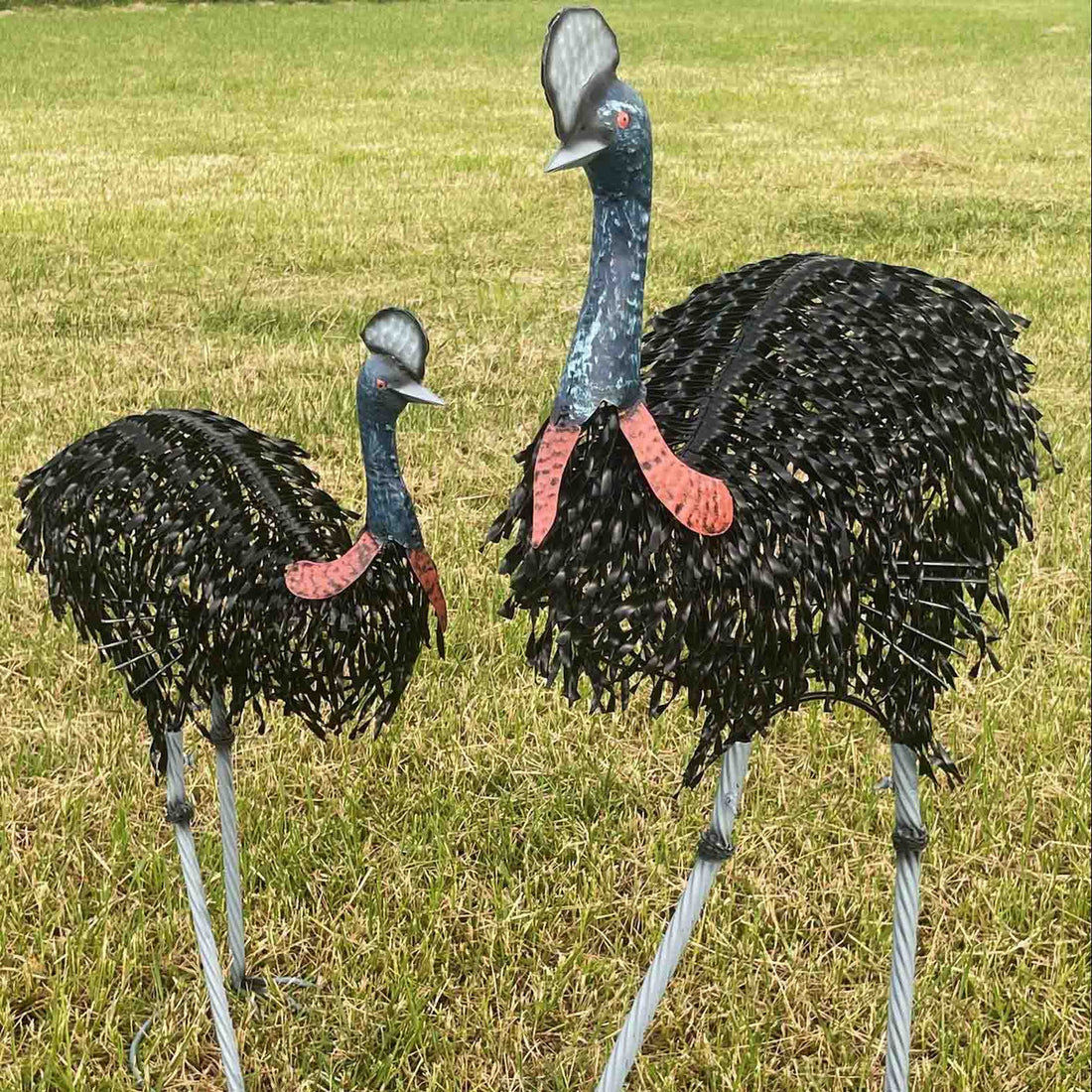 Cassowaries Bird Metal Garden Decor Set of 2