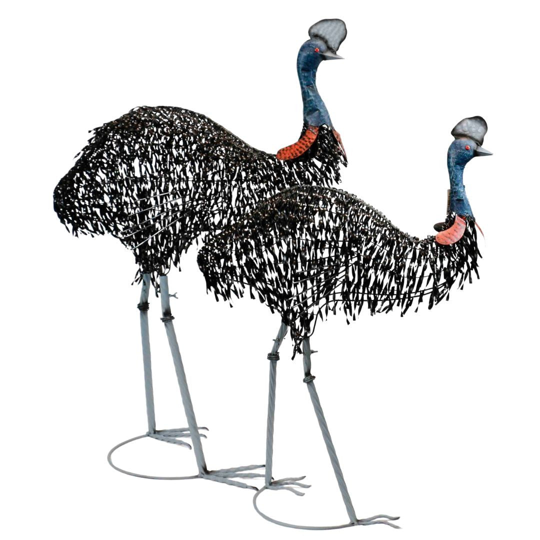 Cassowaries Bird Metal Garden Decor Set of 2