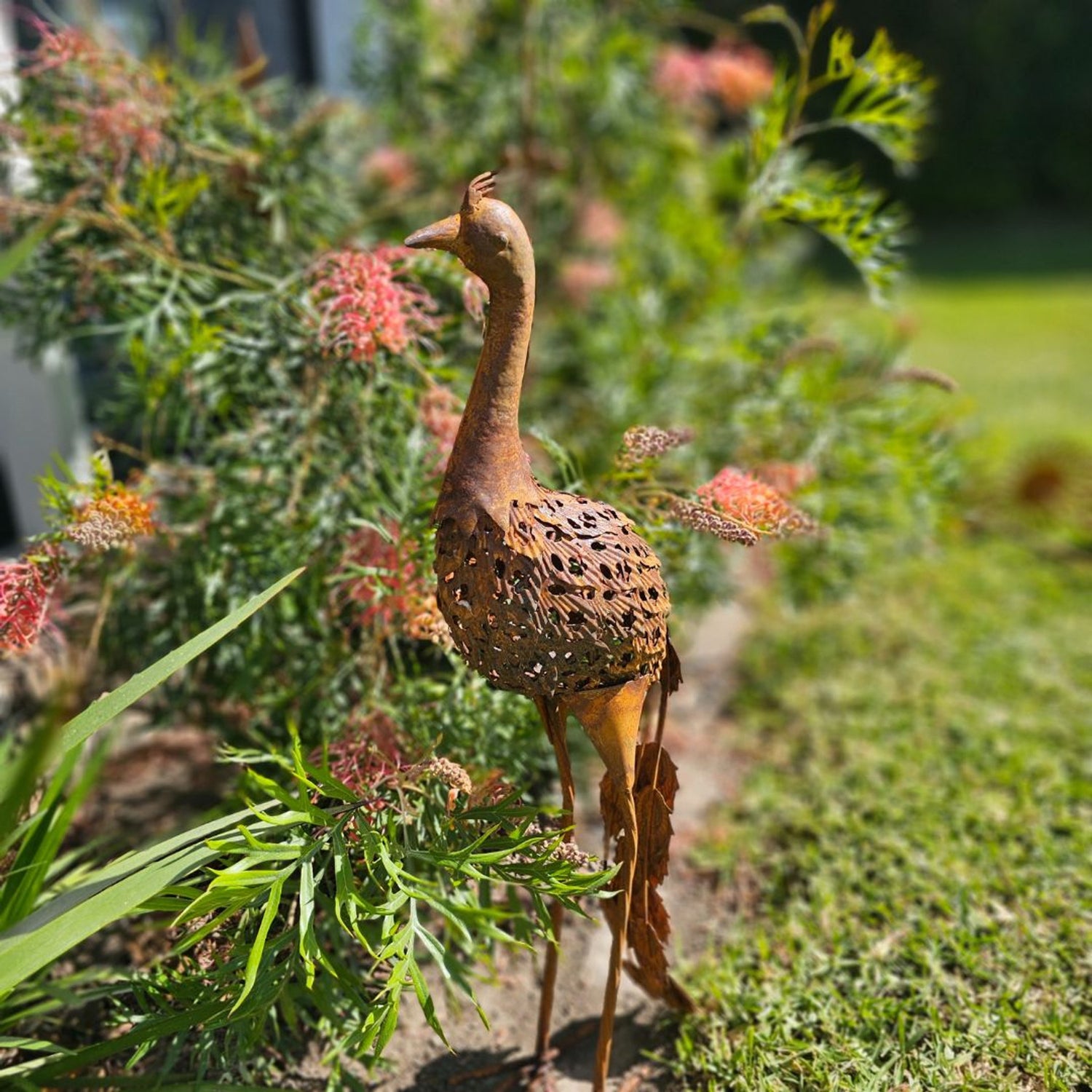 Rusty Peacock