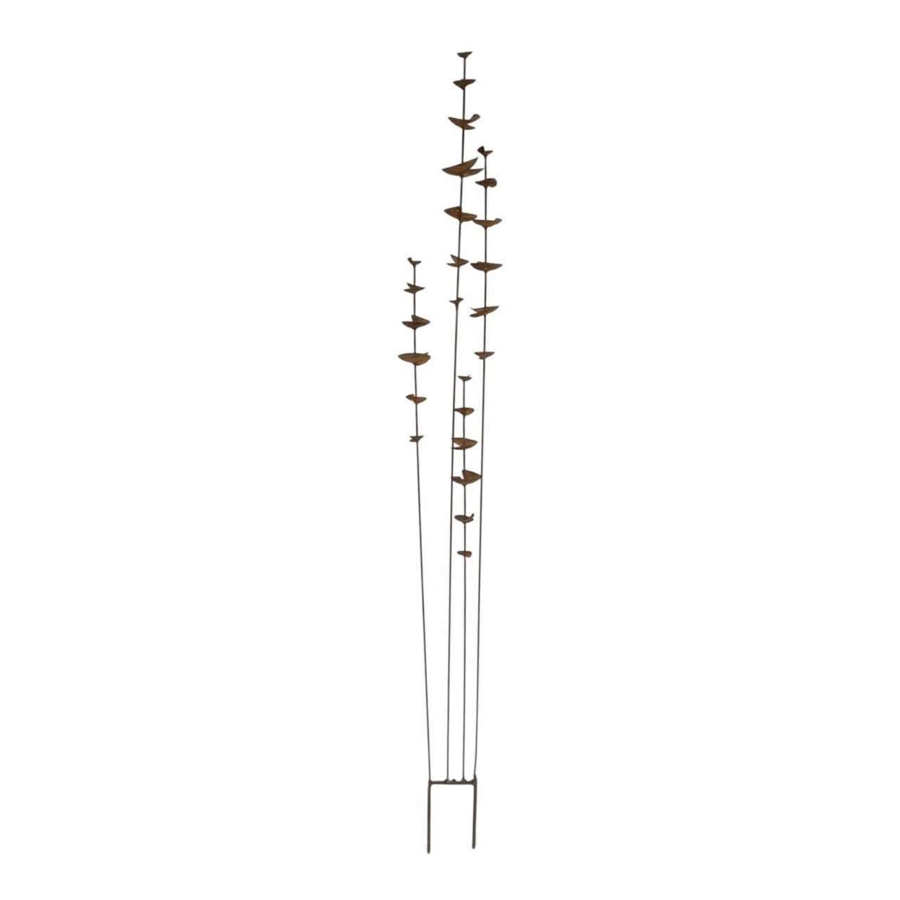 Tall Tales Eucalyptus Garden Stake