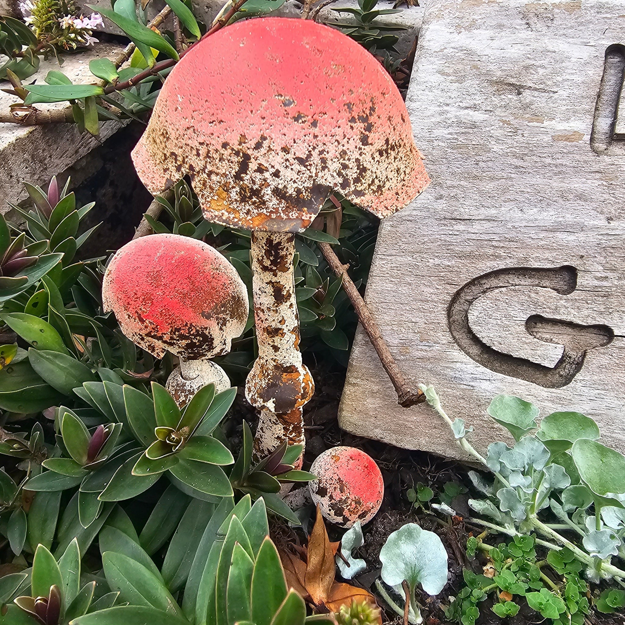 Mushroom Stake Red