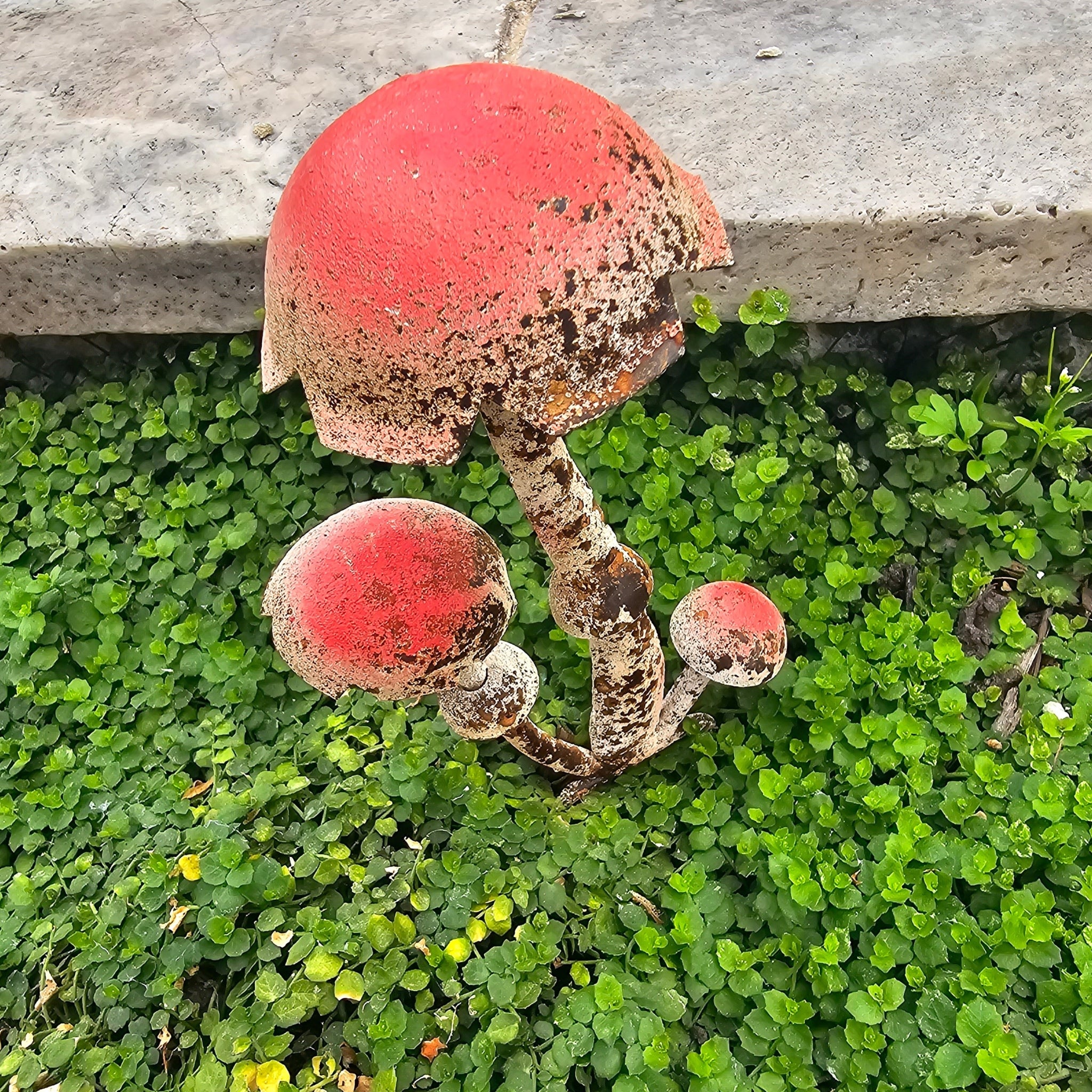 Mushroom Stake Red