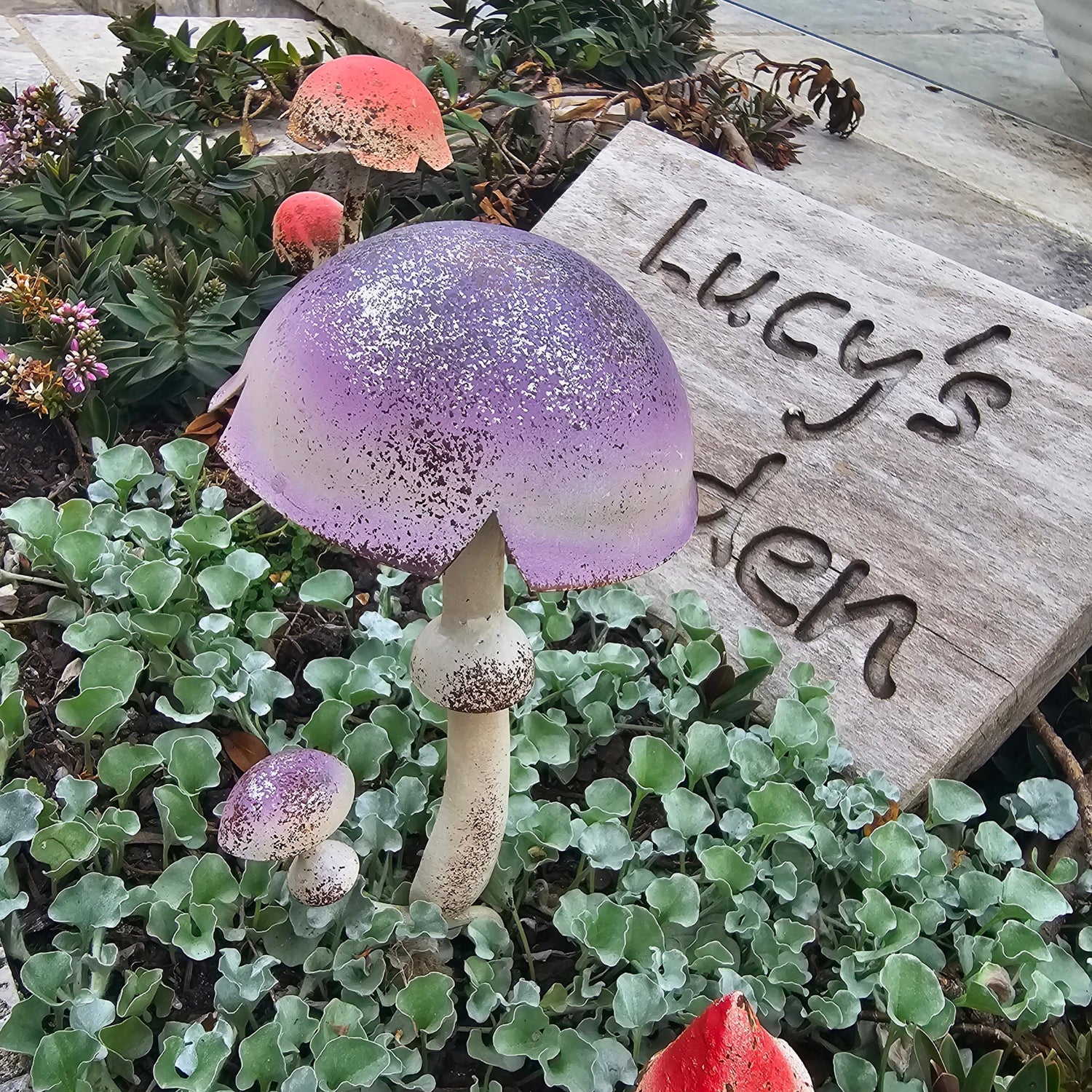 Mushroom Stake Lilac