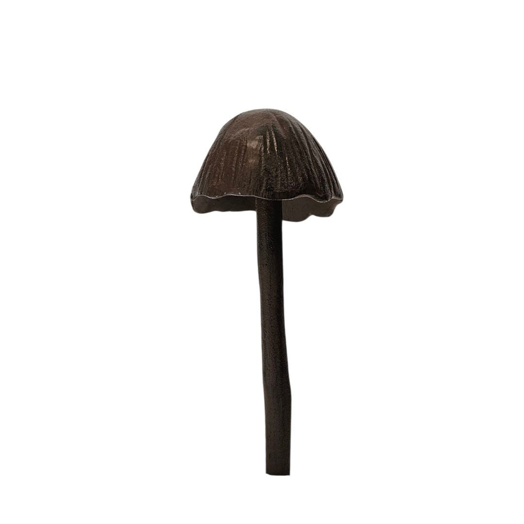 Cast Iron Cap Mushroom