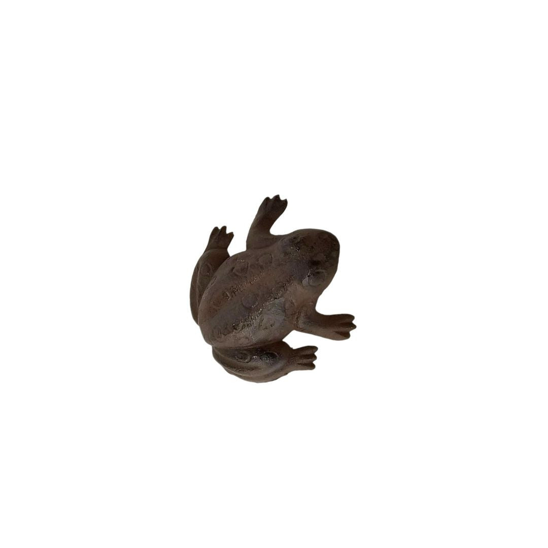 Cast Iron Frog - Brown