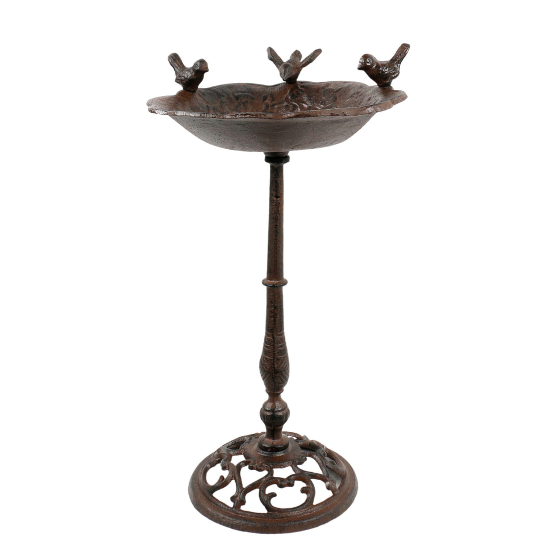 Songbird Gathering Bird Bath