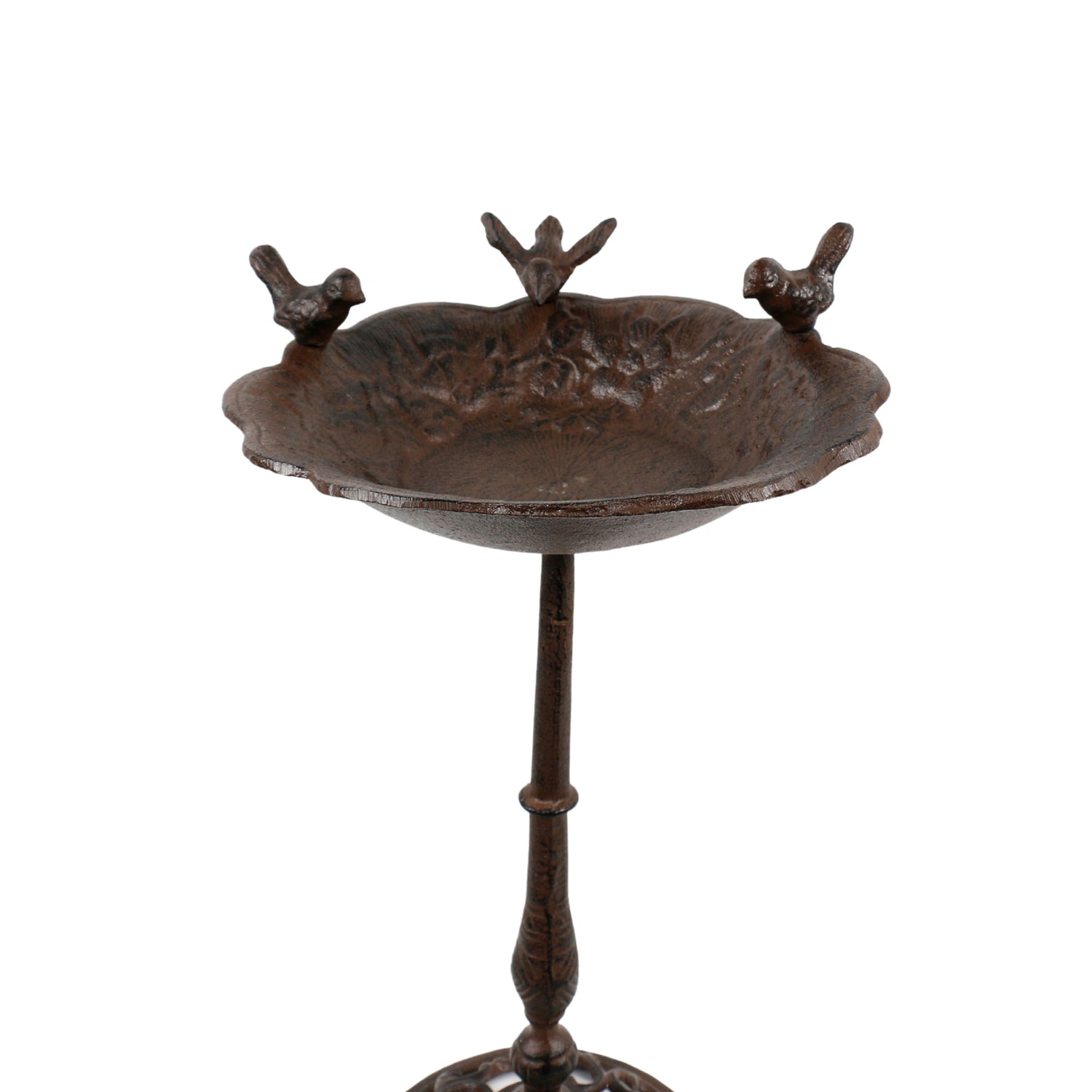 Songbird Gathering Bird Bath