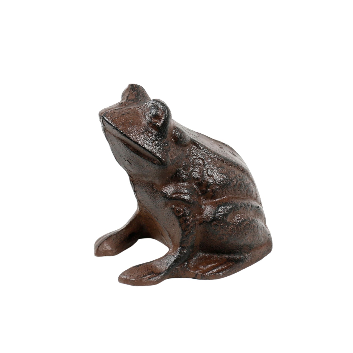 Pondside Cast Iron Frog Garden Ornament