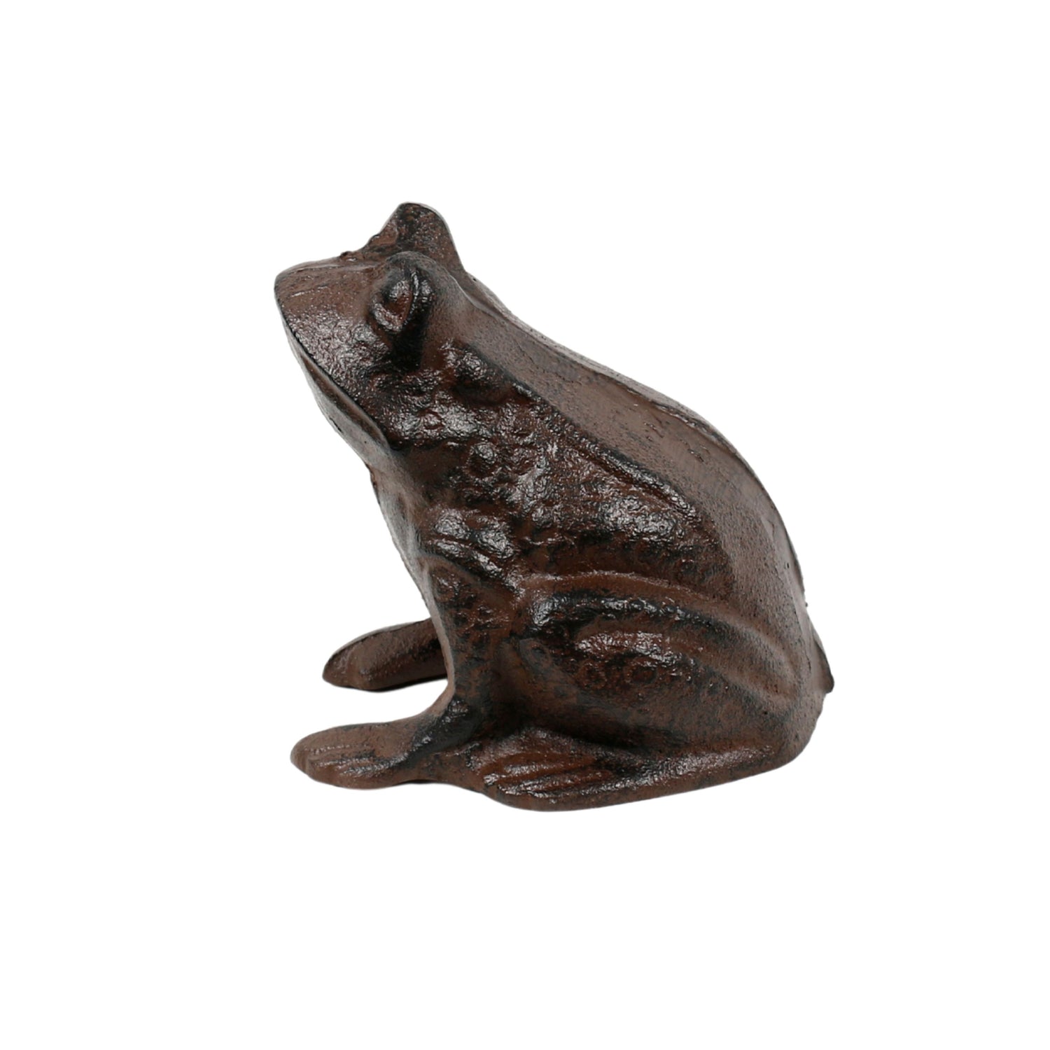 Pondside Cast Iron Frog Garden Ornament