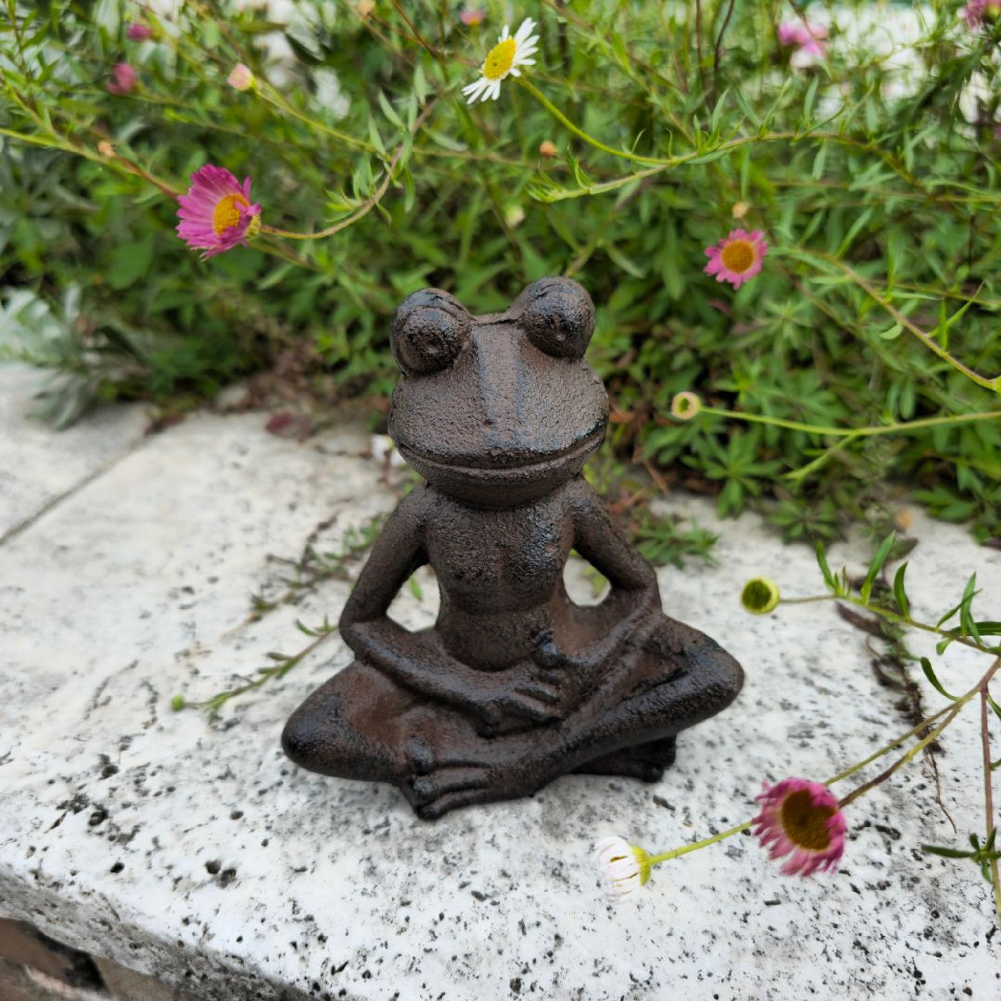 Cast iron zen frog