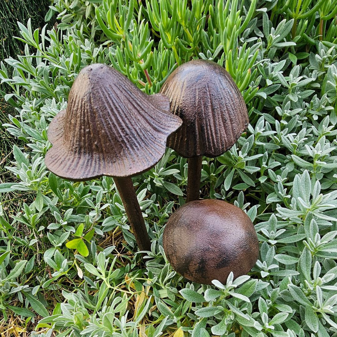 Cast Iron Dome Mushroom