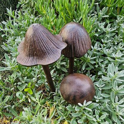 Cast Iron Dome Mushroom
