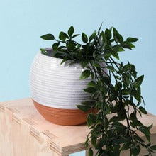 Ceramic White and Terracotta Ridged Planter
