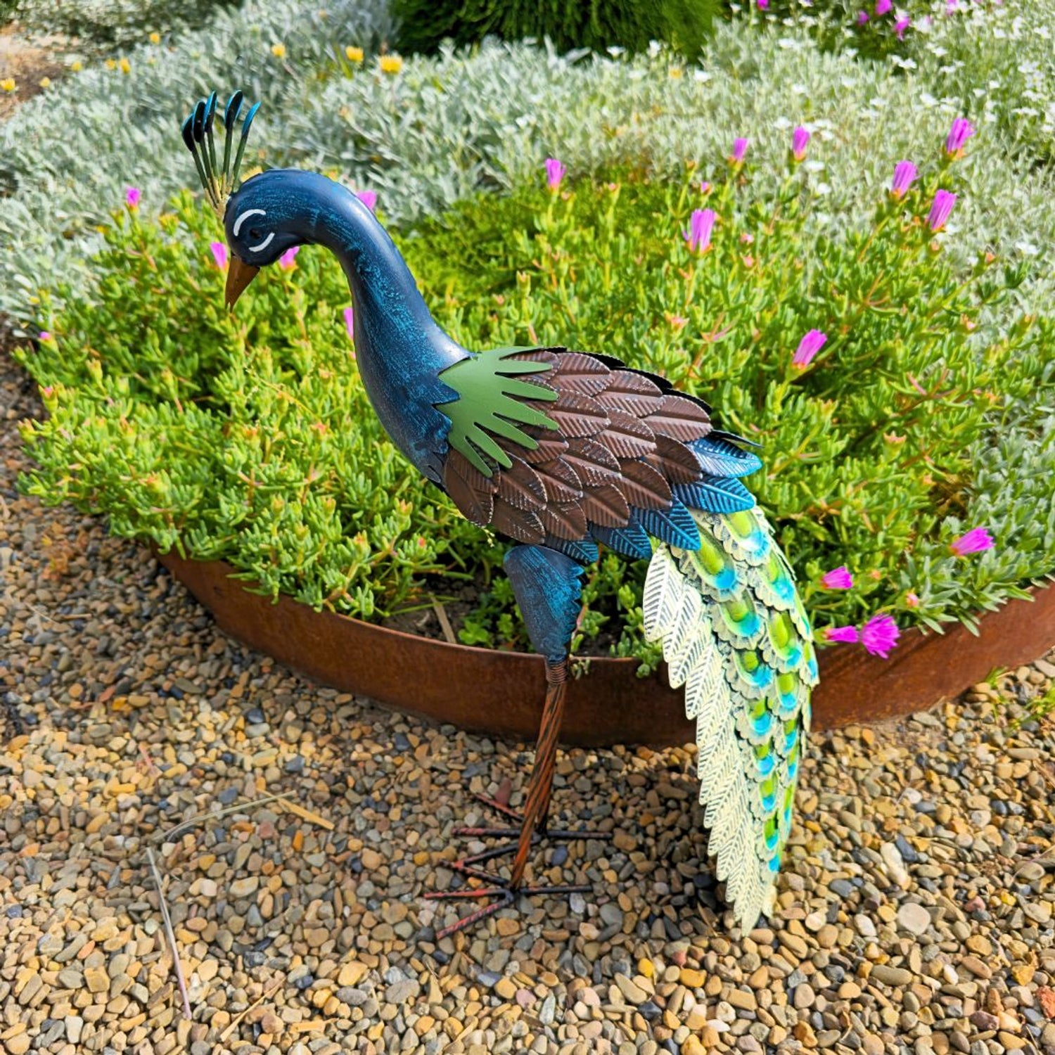 Standing peacock