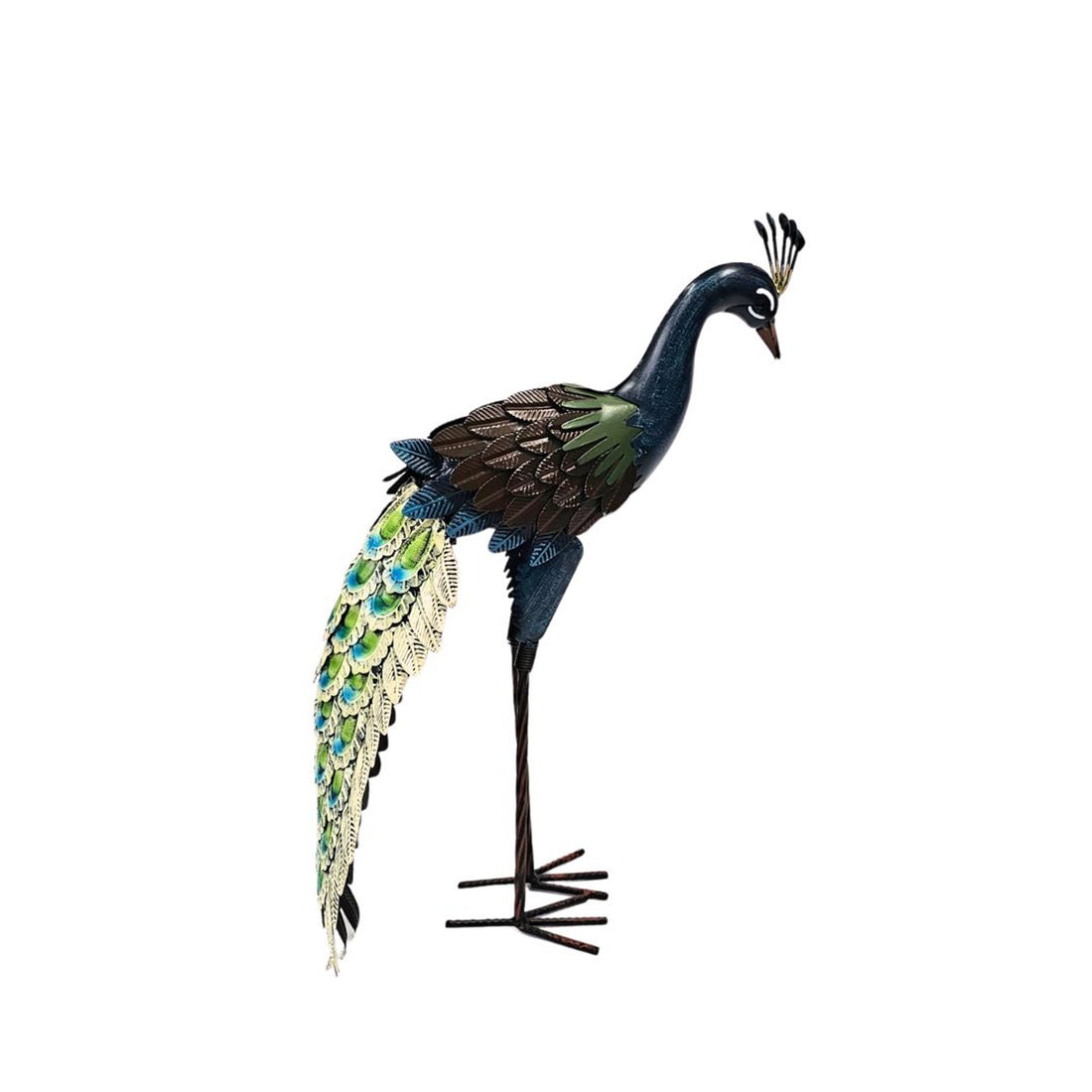 Standing peacock