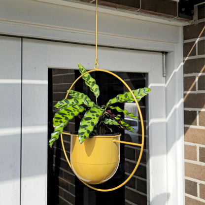 Modern Metal Hanging Planter