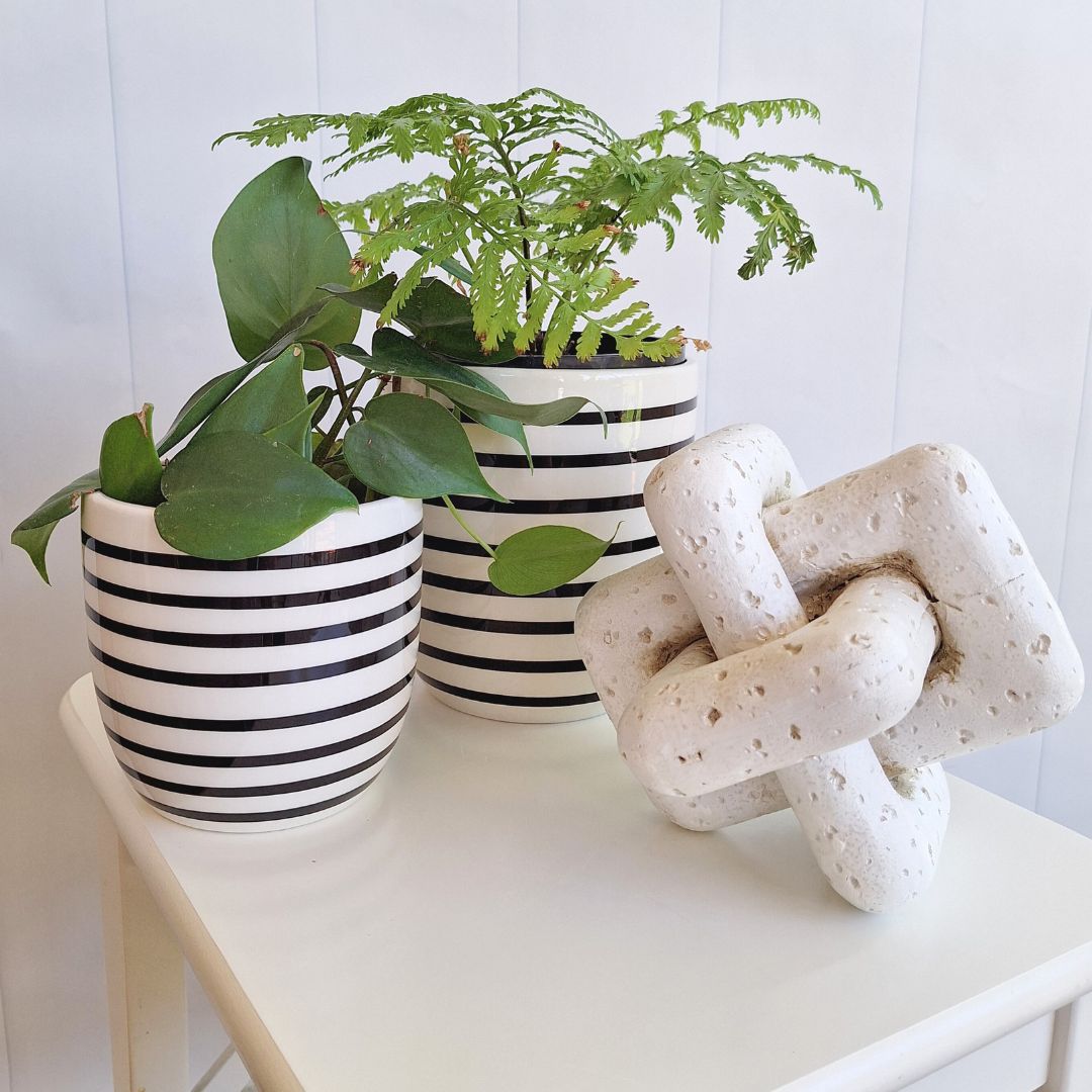 White Banded Pot