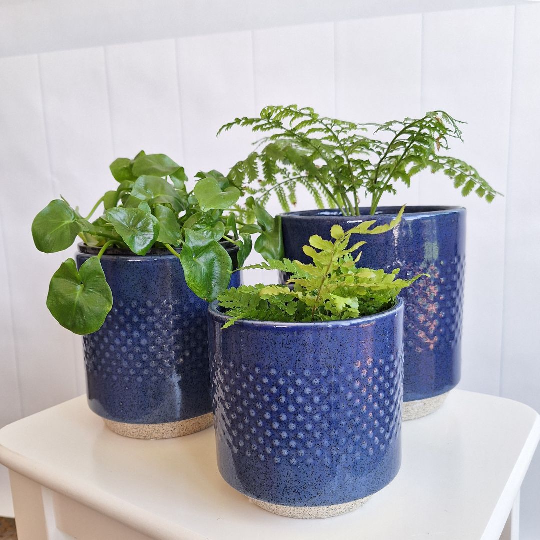 Embossed Ceramic Spot Pots