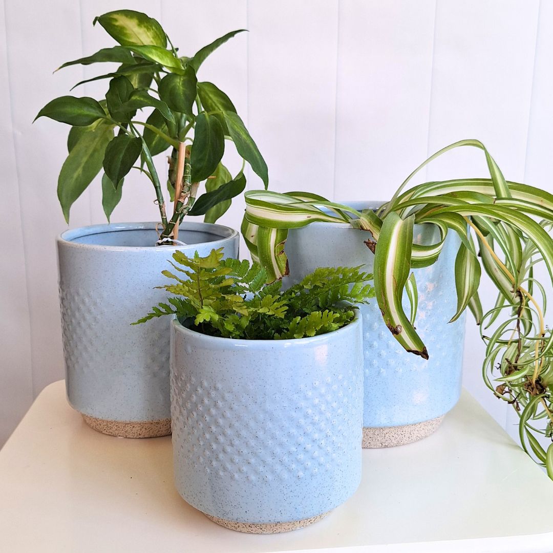 Embossed Ceramic Spot Pots