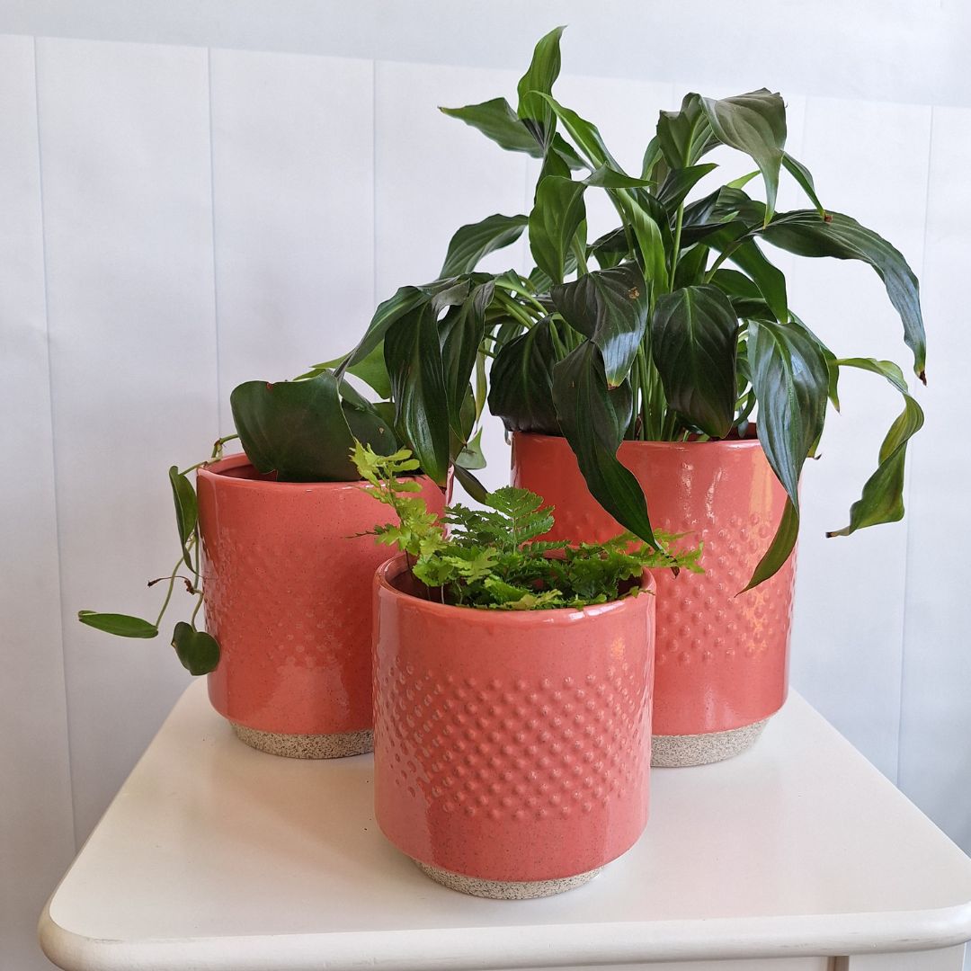 Embossed Ceramic Spot Pots