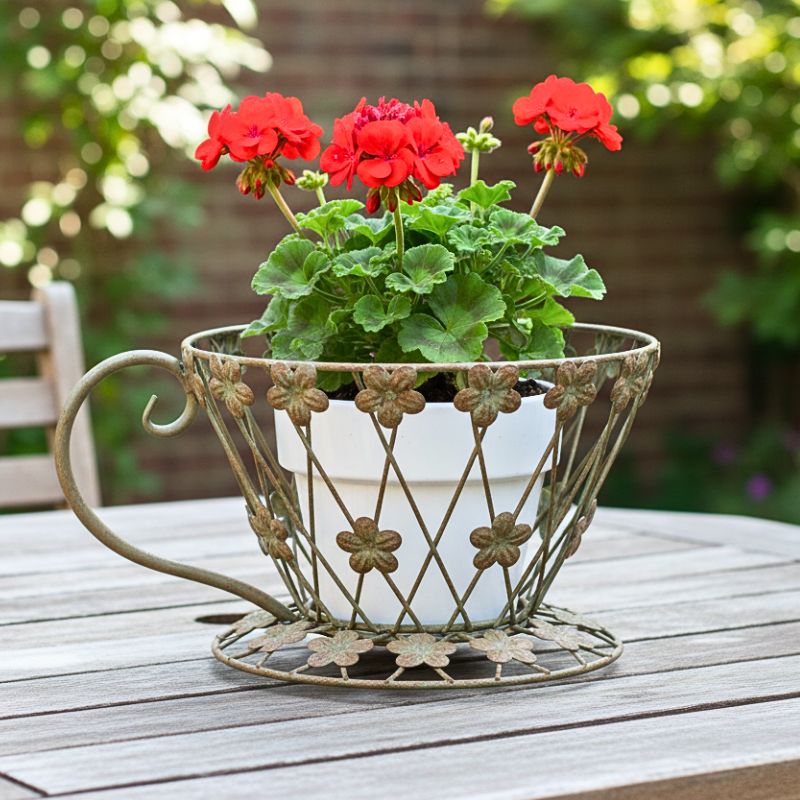 Vintage Teacup Garden Planter