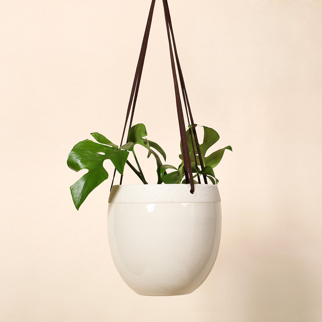 Hanging Egg Ceramic Pot